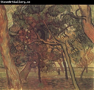 Vincent Van Gogh Study of Pine Trees (nn04)